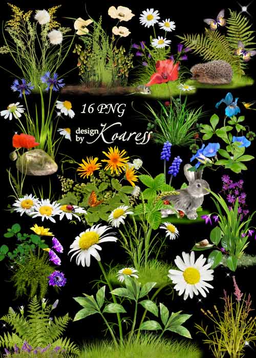 Набор цветочных кластеров для дизайна с полевыми цветами - Цветочная поляна - часть 1