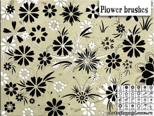 Flower brushes