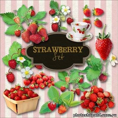Scrap-kit - Strawberry Set